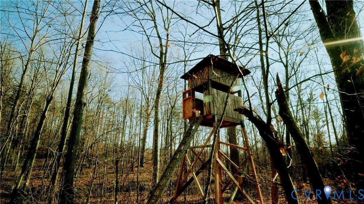 0 Cartersville Road New Canton, VA 23123 - Photo 3 of 49 a close up of a tree in a yard