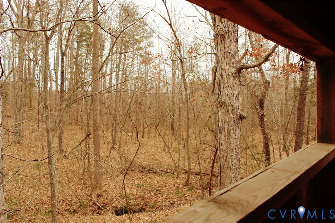 0 Cartersville Road New Canton, VA 23123 - Photo 31 of 49 a picture of trees