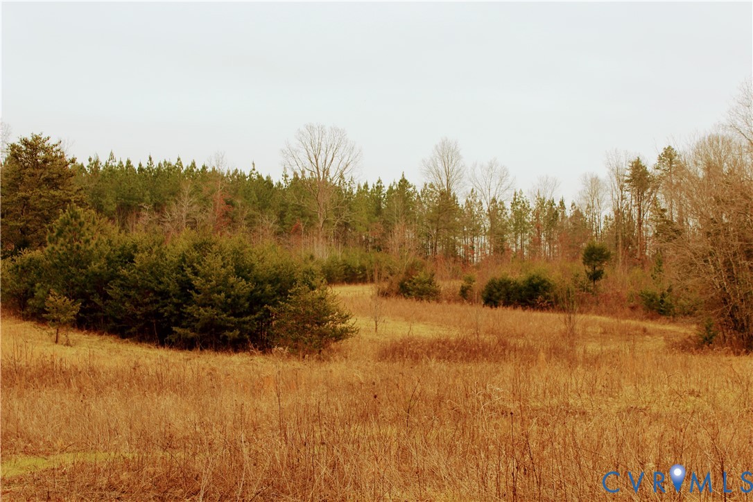 0 Cartersville Road New Canton, VA 23123 - Photo 33 of 49 a view of outdoor space and trees