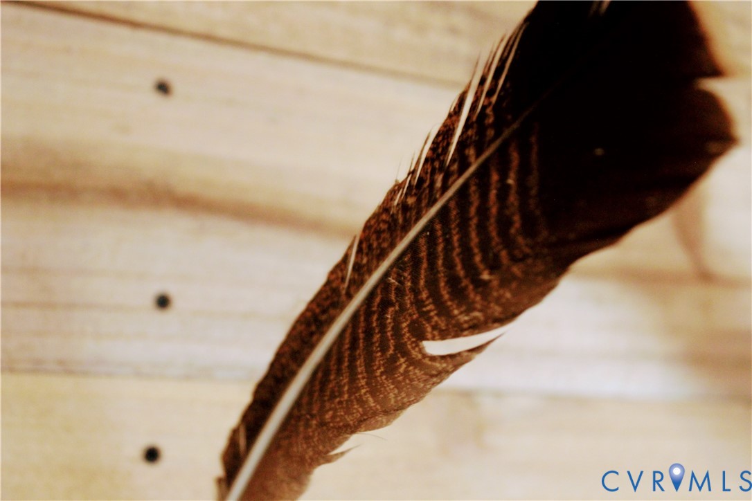 0 Cartersville Road New Canton, VA 23123 - Photo 35 of 49 a view of entryway