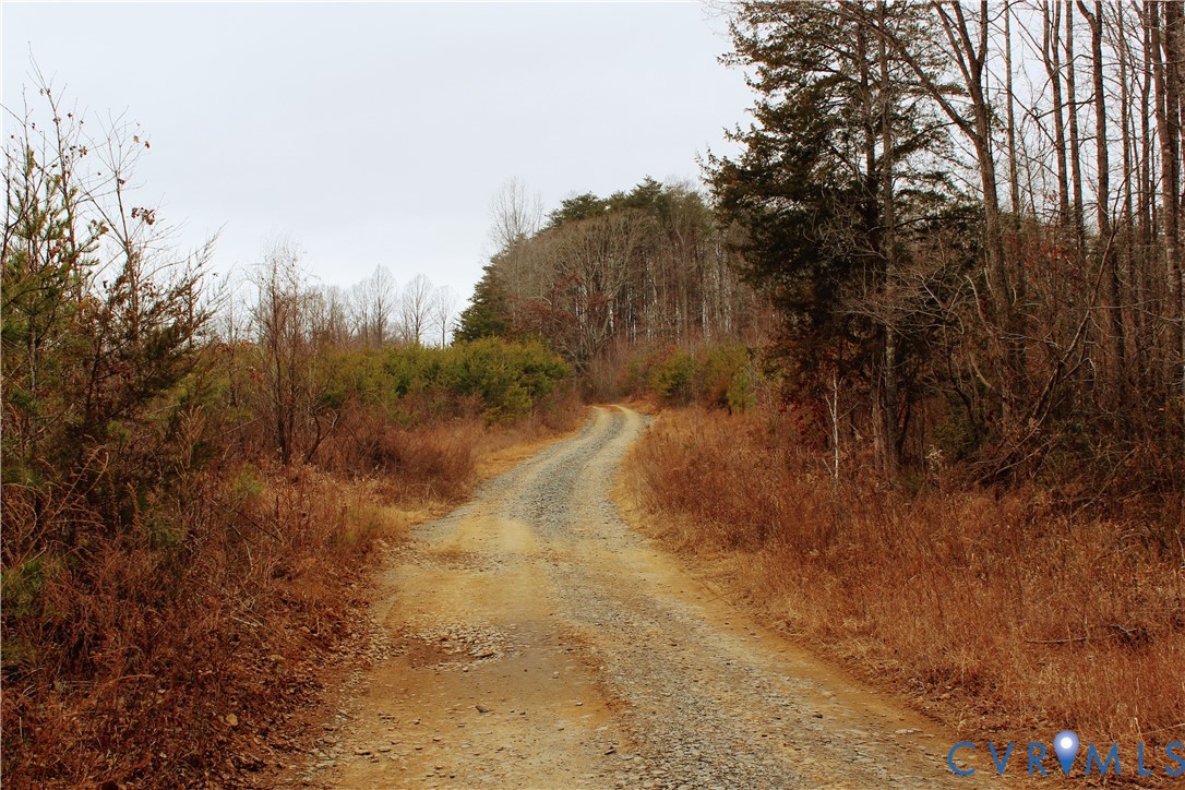 0 Cartersville Road New Canton, VA 23123 - Photo 36 of 49 a view of a yard with trees