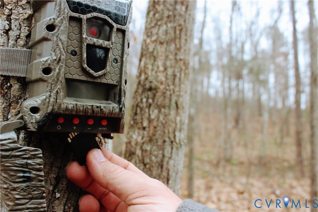 0 Cartersville Road New Canton, VA 23123 - Photo 37 of 49 a bathroom with a toilet and a shower curtain