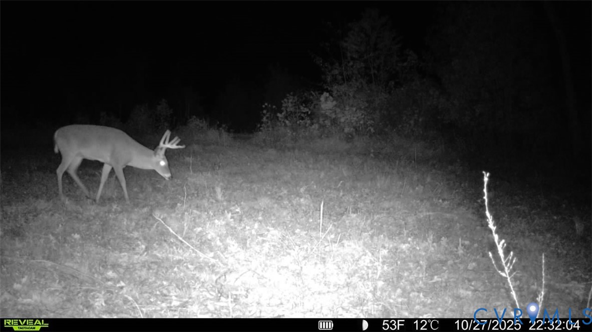 0 Cartersville Road New Canton, VA 23123 - Photo 39 of 49 a view of workspace with furniture