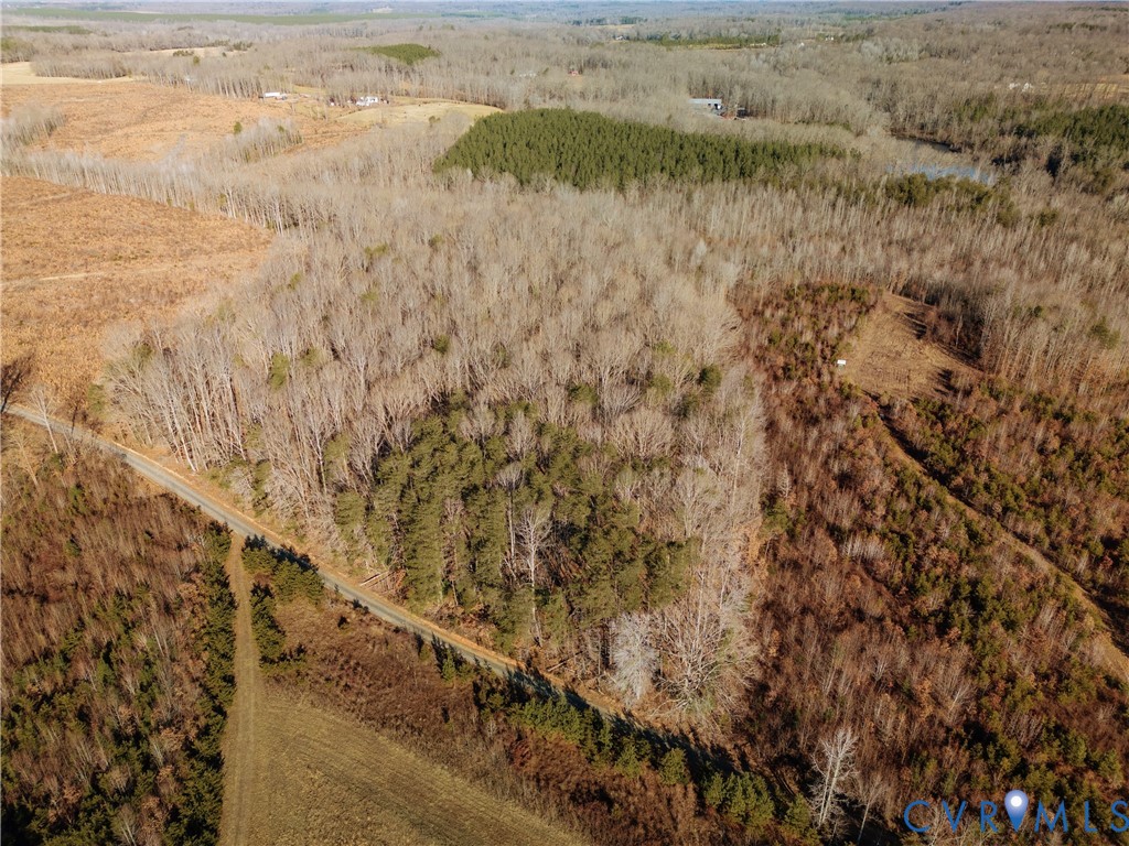 0 Cartersville Road New Canton, VA 23123 - Photo 41 of 49 a view of a lake with beach and green space