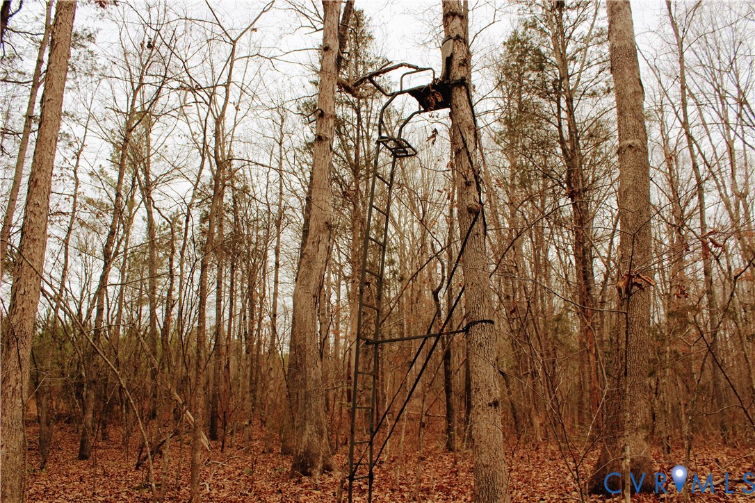 0 Cartersville Road New Canton, VA 23123 - Photo 42 of 49 a view of forest