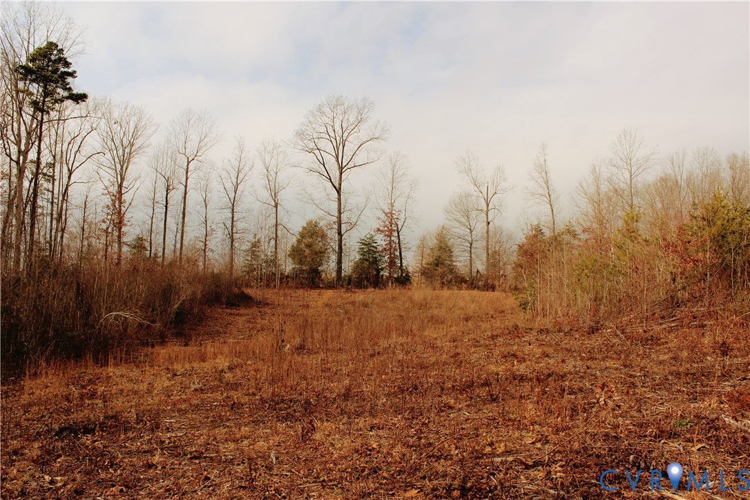 0 Cartersville Road New Canton, VA 23123 - Photo 45 of 49 a view of dirt yard