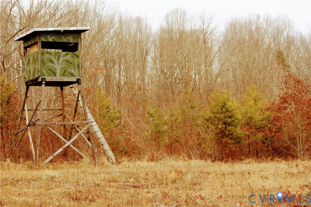 0 Cartersville Road New Canton, VA 23123 - Photo 5 of 49 a view of wooden floor