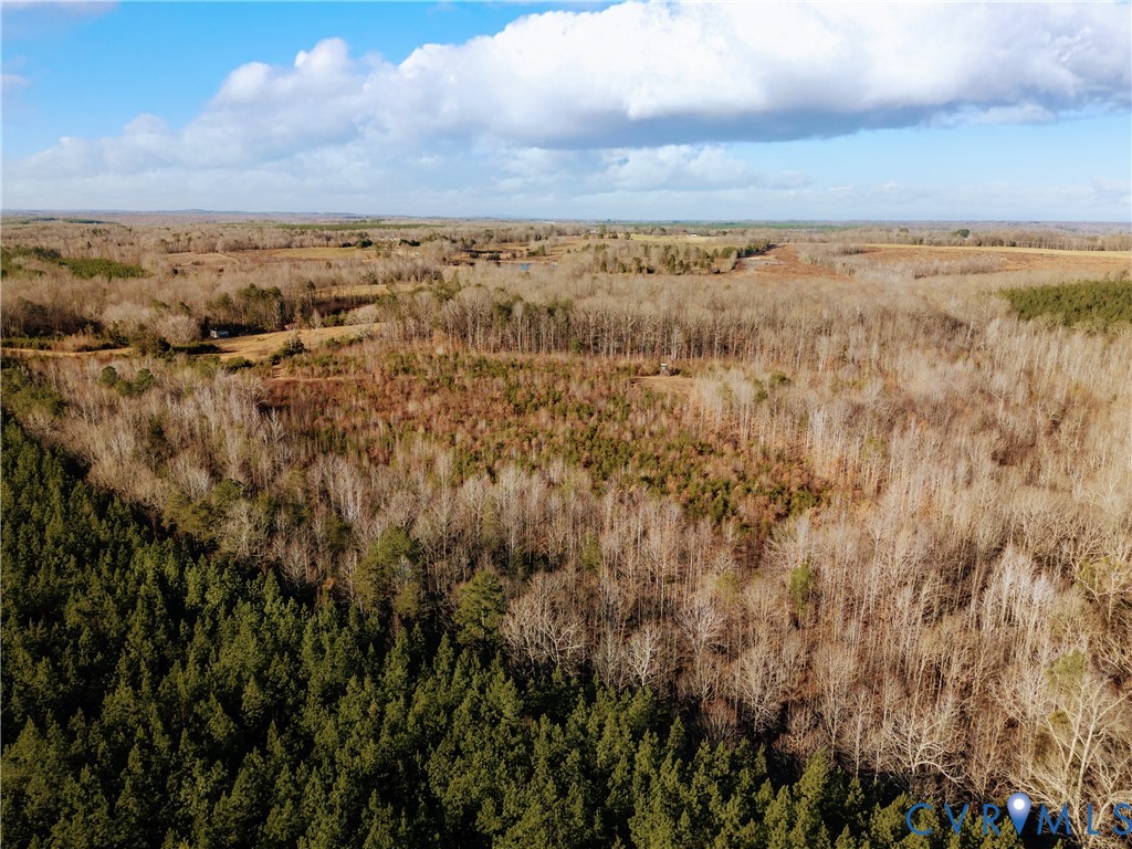 0 Cartersville Road New Canton, VA 23123 - Photo 6 of 49 a view of a city