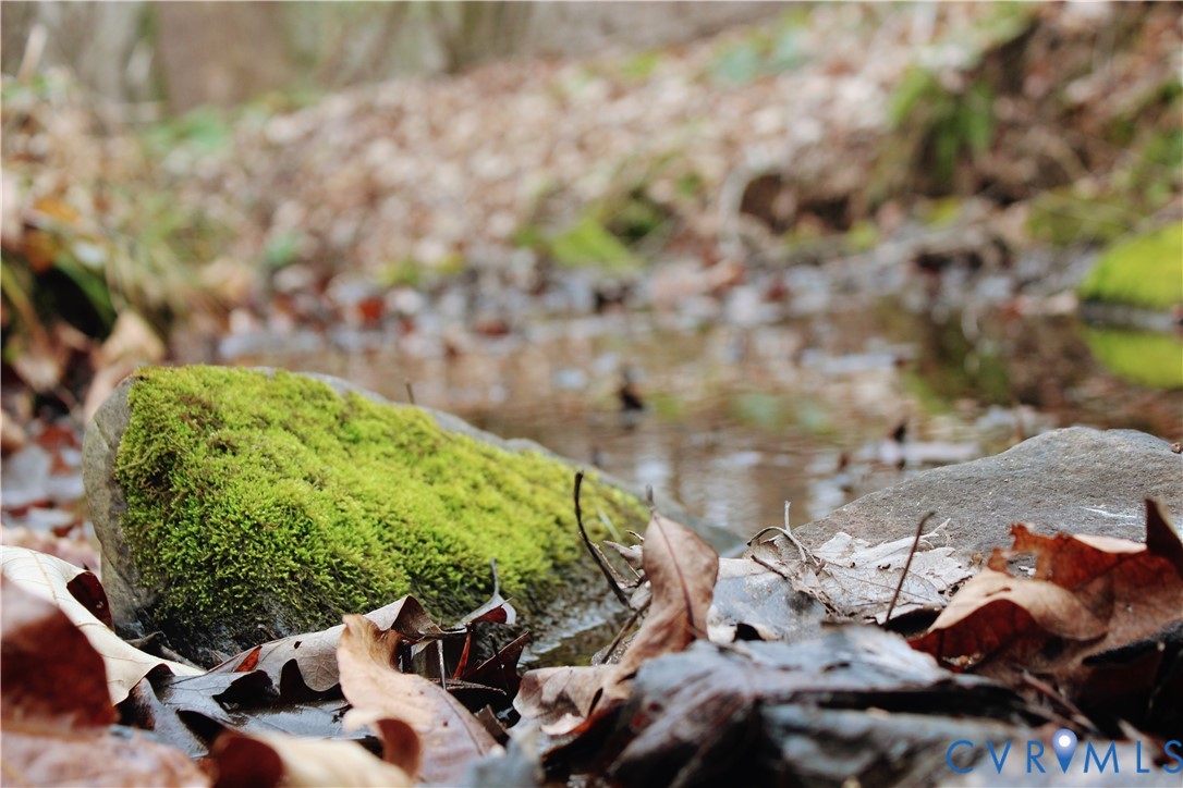 0 Cartersville Road New Canton, VA 23123 - Photo 7 of 49 a view of a bunch of trees