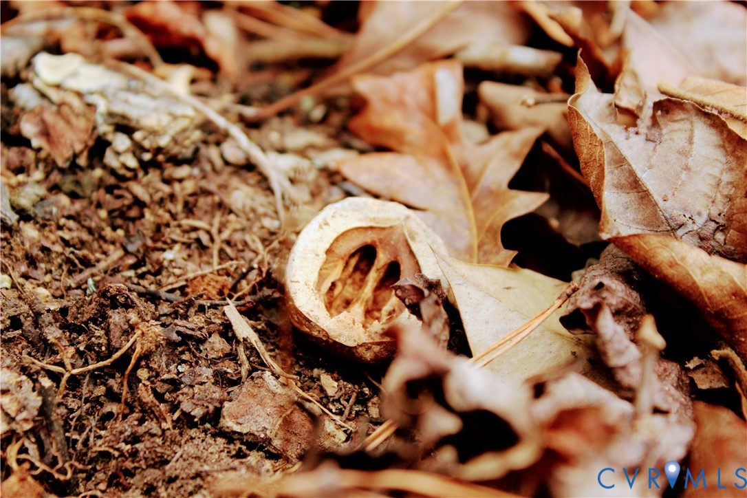 0 Cartersville Road New Canton, VA 23123 - Photo 9 of 49