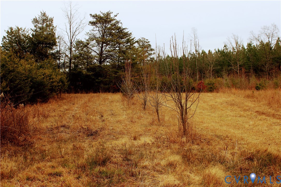 0 Cartersville Road New Canton, VA 23123 - Photo 10 of 49 a view of lake