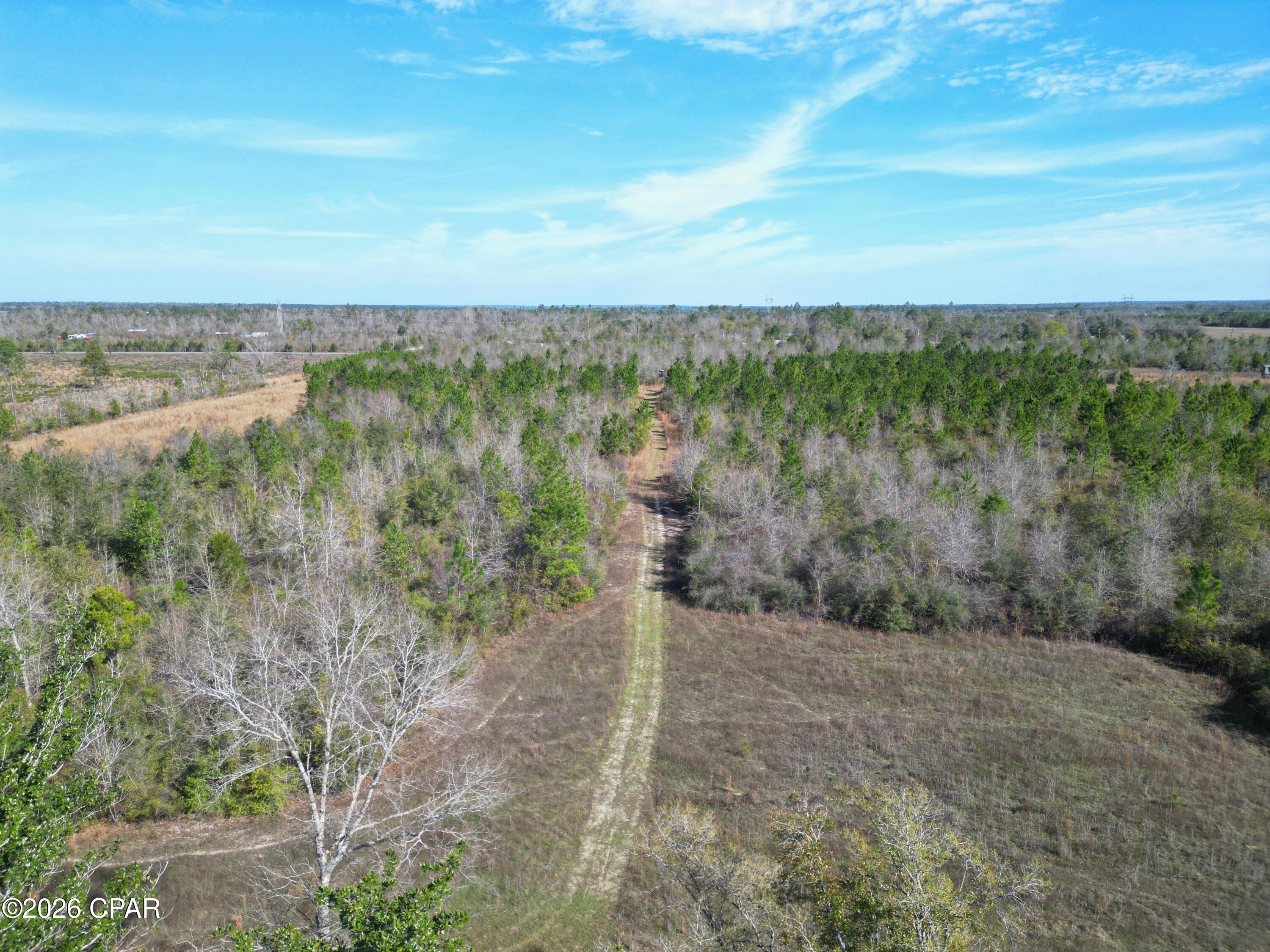 Xx Xx Cook/cain Road Clarksville, FL 32430 - Photo 3 of 7