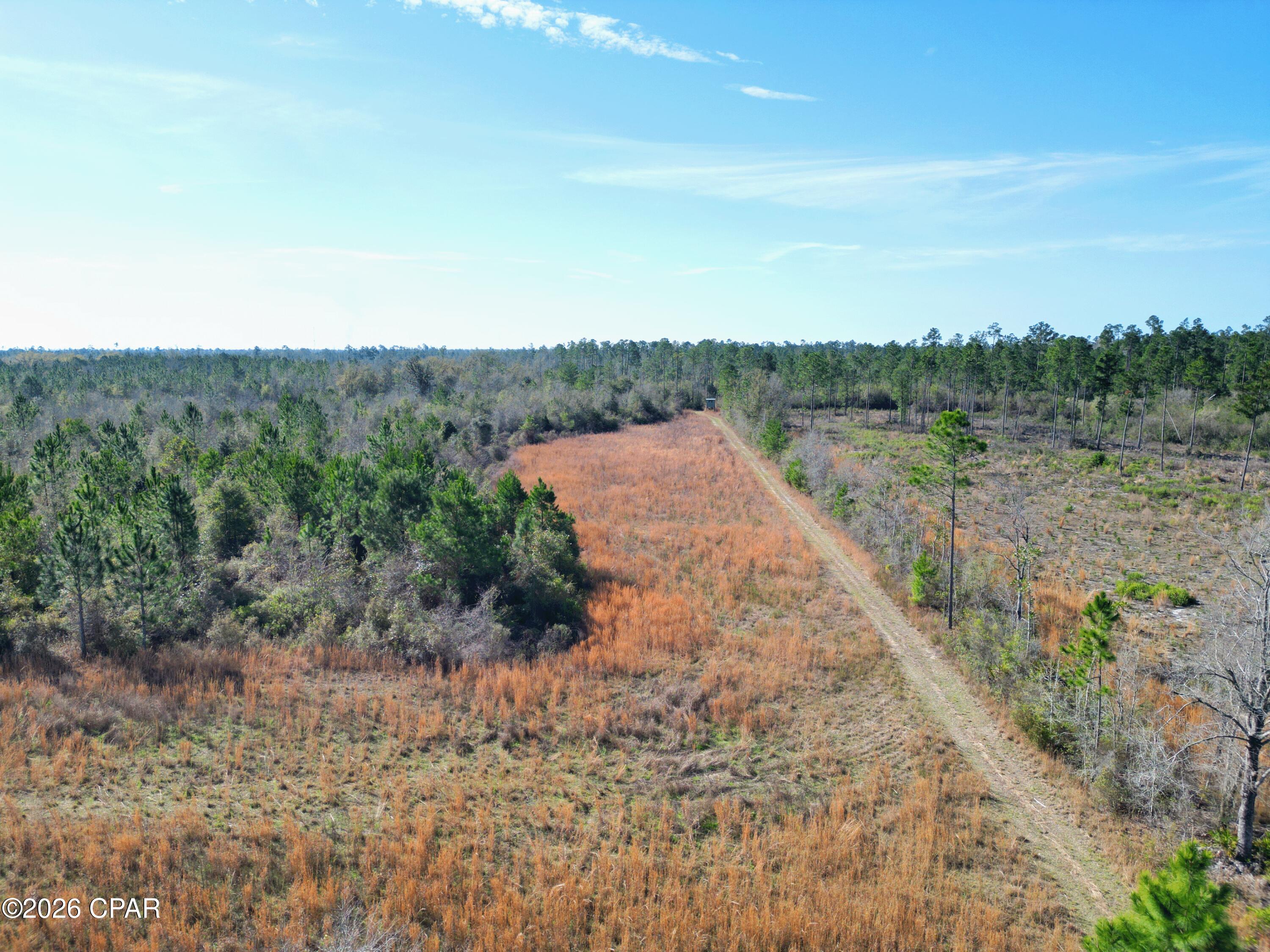 Xx Xx Cook/cain Road Clarksville, FL 32430 - Photo 4 of 7