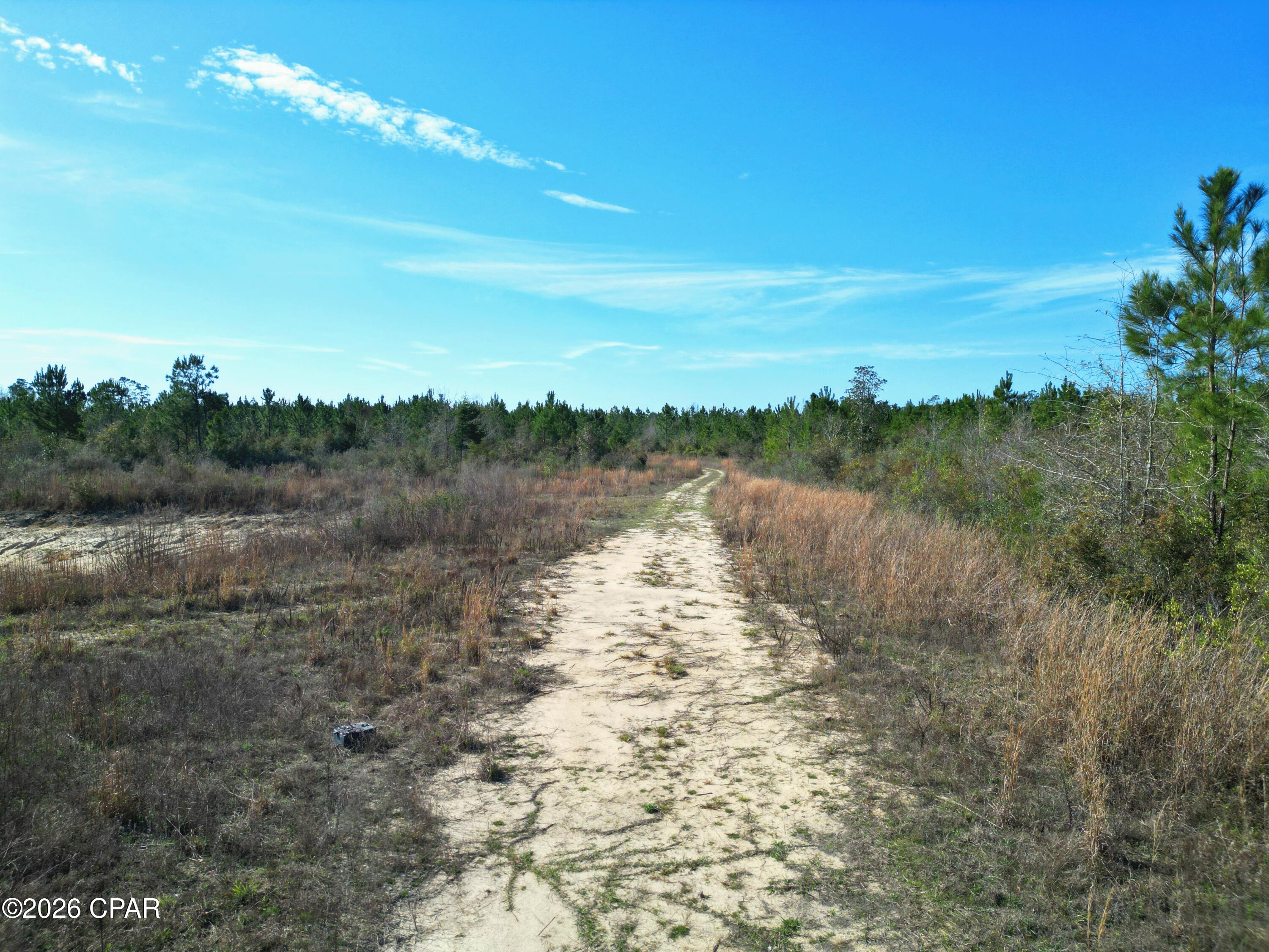 Xx Xx Cook/cain Road Clarksville, FL 32430 - Photo 5 of 7
