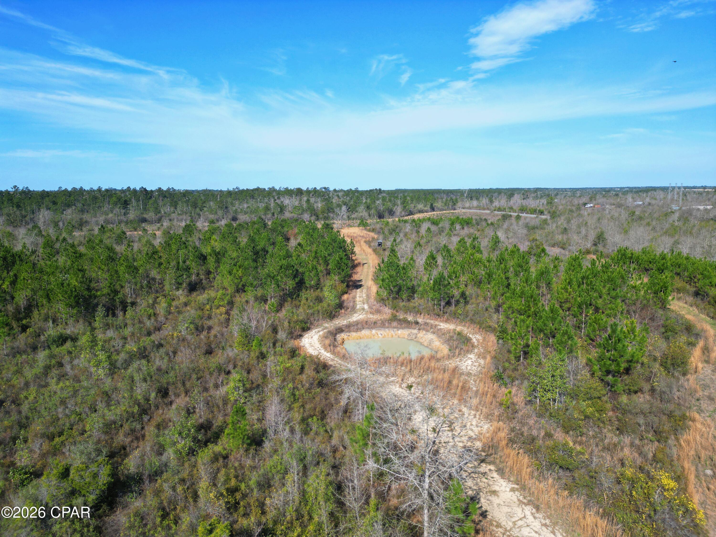 Xx Xx Cook/cain Road Clarksville, FL 32430 - Photo 7 of 7