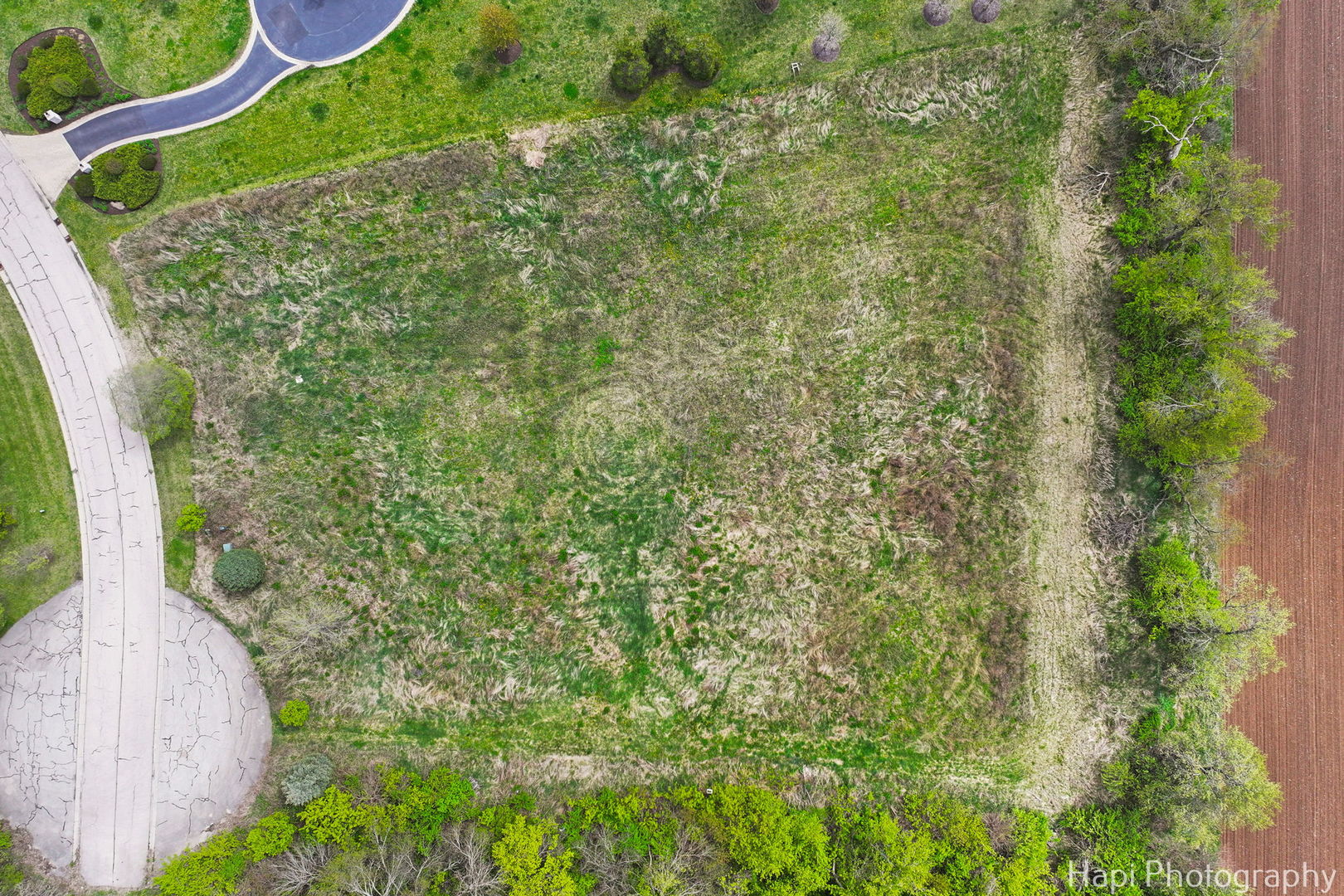 2647 Sanctuary Lane Spring Grove, IL 60081 - Photo 11 of 11 a view of a yard with plants