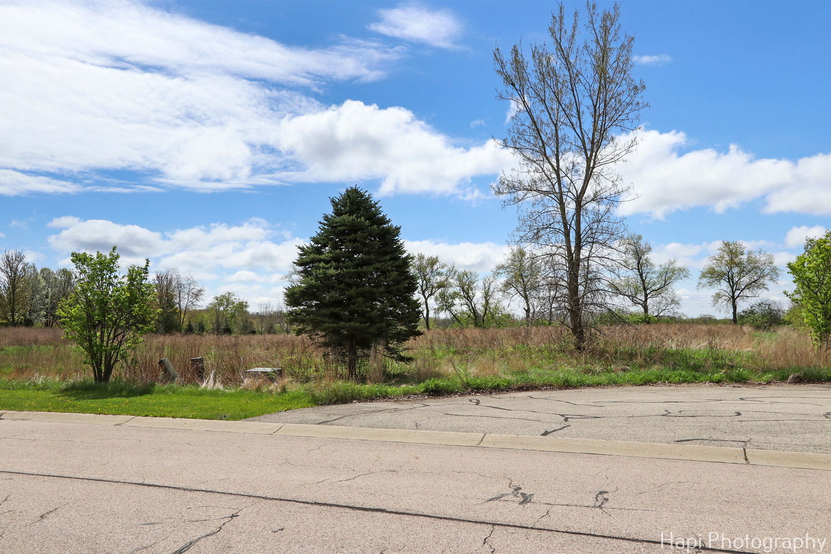 2647 Sanctuary Lane Spring Grove, IL 60081 - Photo 2 of 11