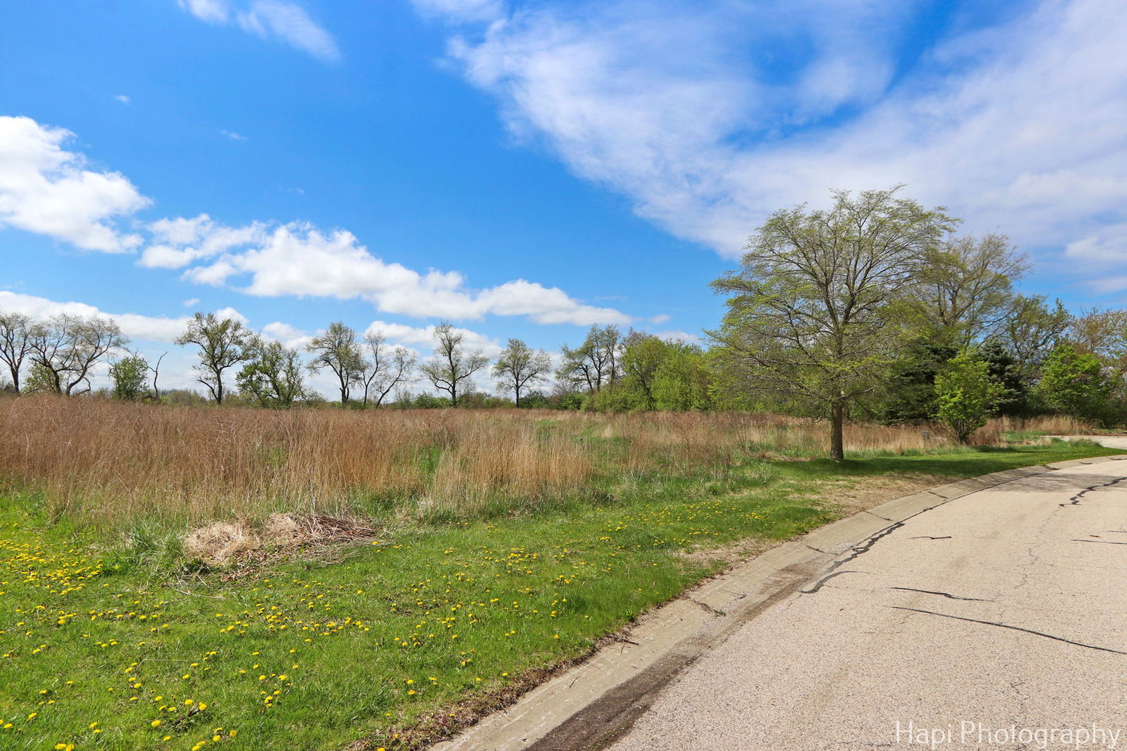 2647 Sanctuary Lane Spring Grove, IL 60081 - Photo 3 of 11 a view of a lake from a yard