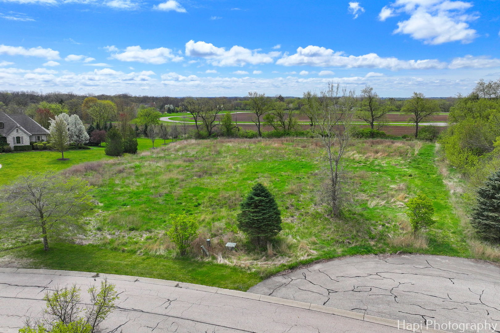 2647 Sanctuary Lane Spring Grove, IL 60081 - Photo 4 of 11 a view of a garden with lawn chairs plants and large tree