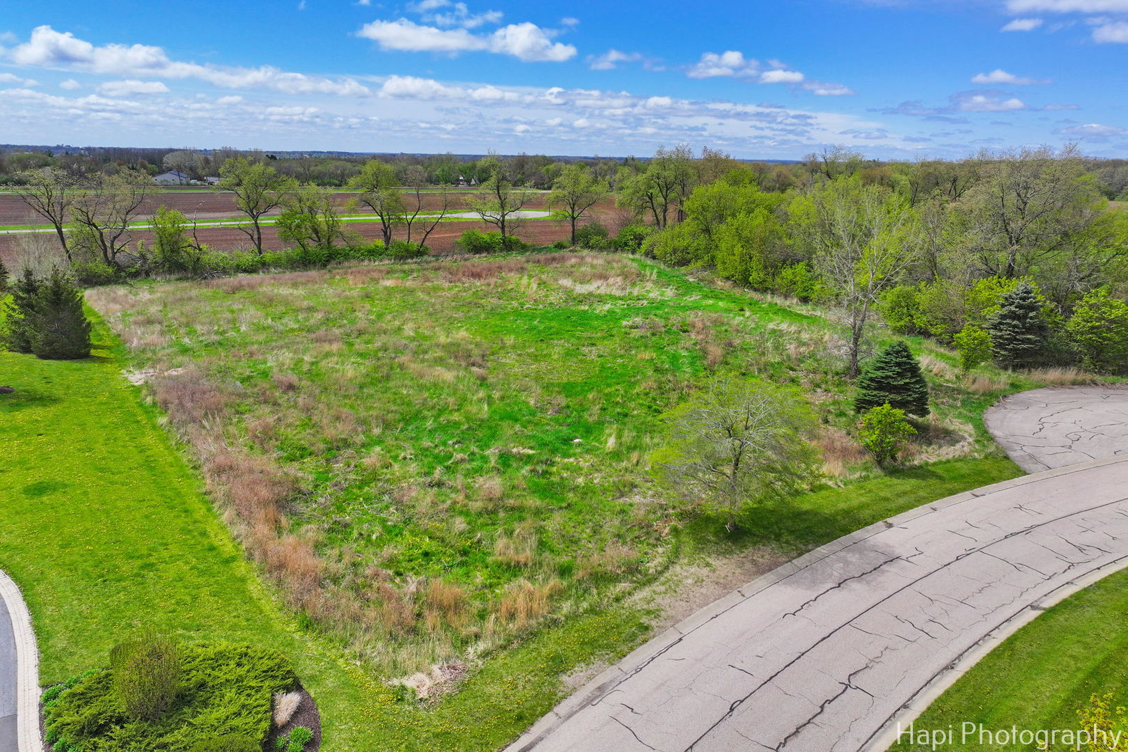 2647 Sanctuary Lane Spring Grove, IL 60081 - Photo 6 of 11 a view of a garden with an ocean
