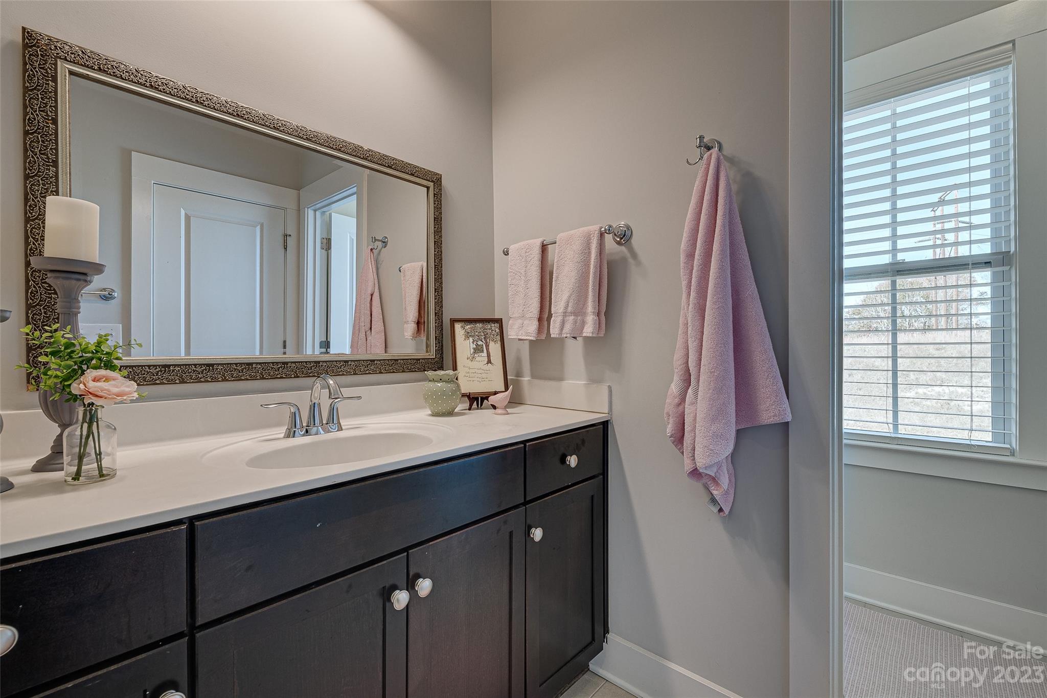 664 Bluff Loop Road Rock Hill, SC 29730 - Photo 21 of 26 a bathroom with a double vanity sink and a mirror