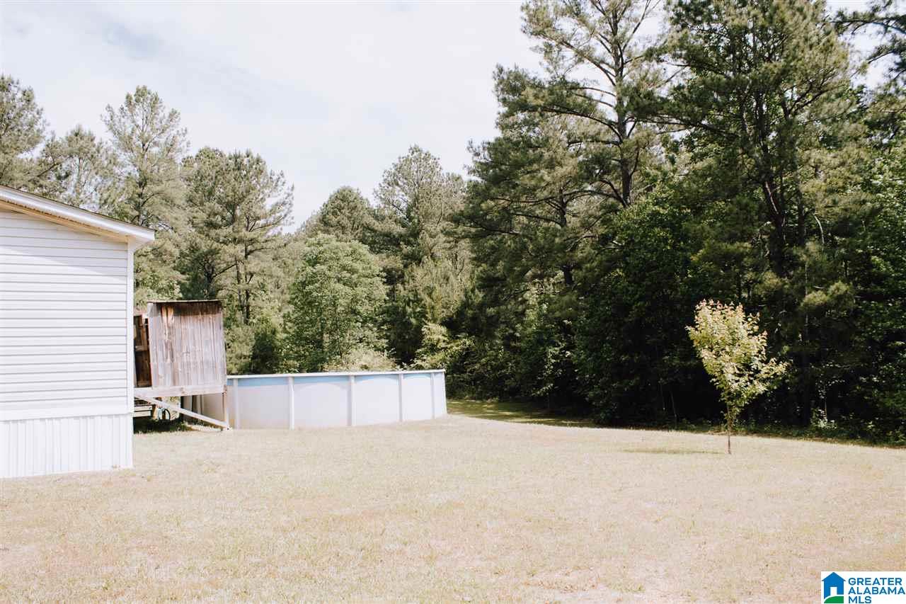 65 Mountainview Road Wellington, AL 36279 - Photo 31 of 37