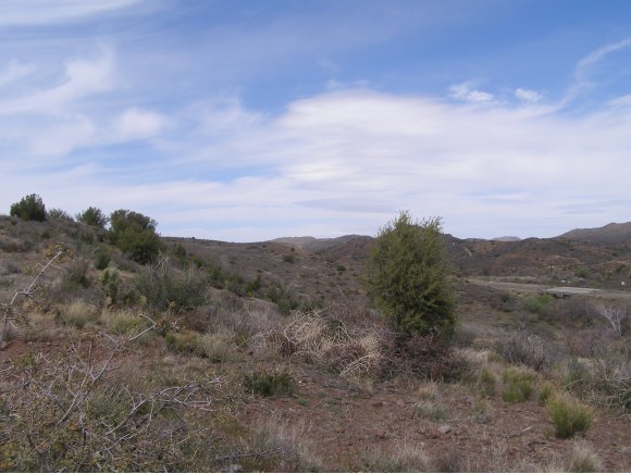 15460 East Rough Rider Ridge Mayer, AZ 86333 - Photo 3 of 13 Additional Photo