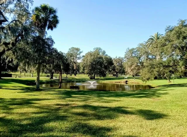 a view of a big yard with a large trees