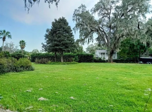 a view of a garden with a tree