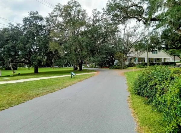 a view of a park with large trees