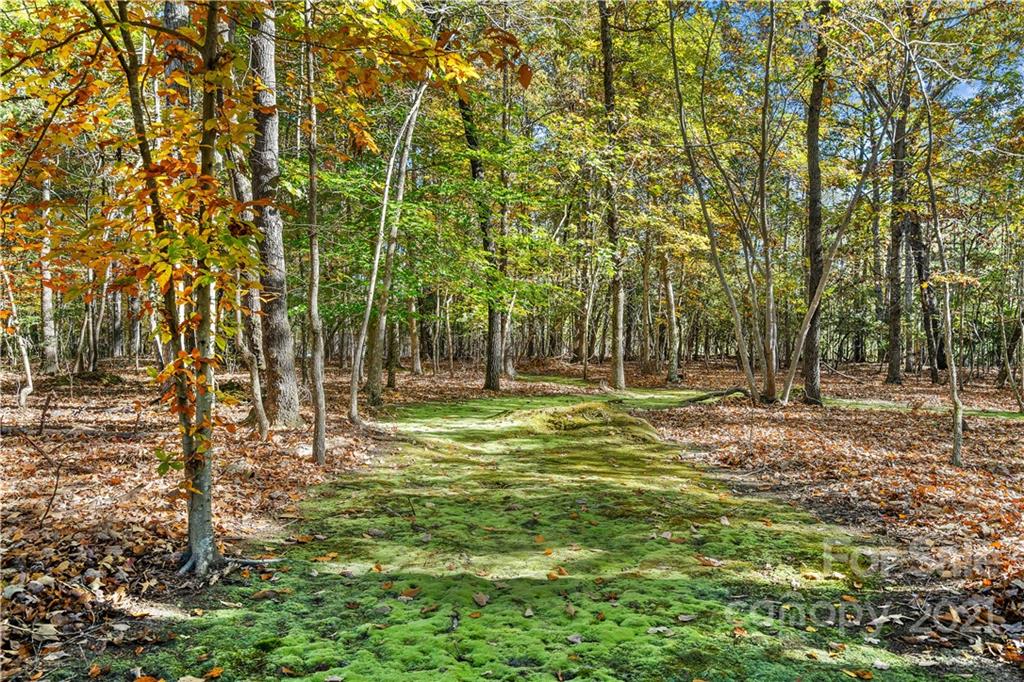 6401 Old Ridge Road Waxhaw, NC 28173 - Photo 45 of 46 Gallery Image 45