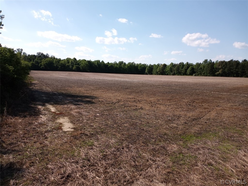 0 County Line Road Disputanta, VA 23842 - Photo 1 of 10 Gallery Image 1