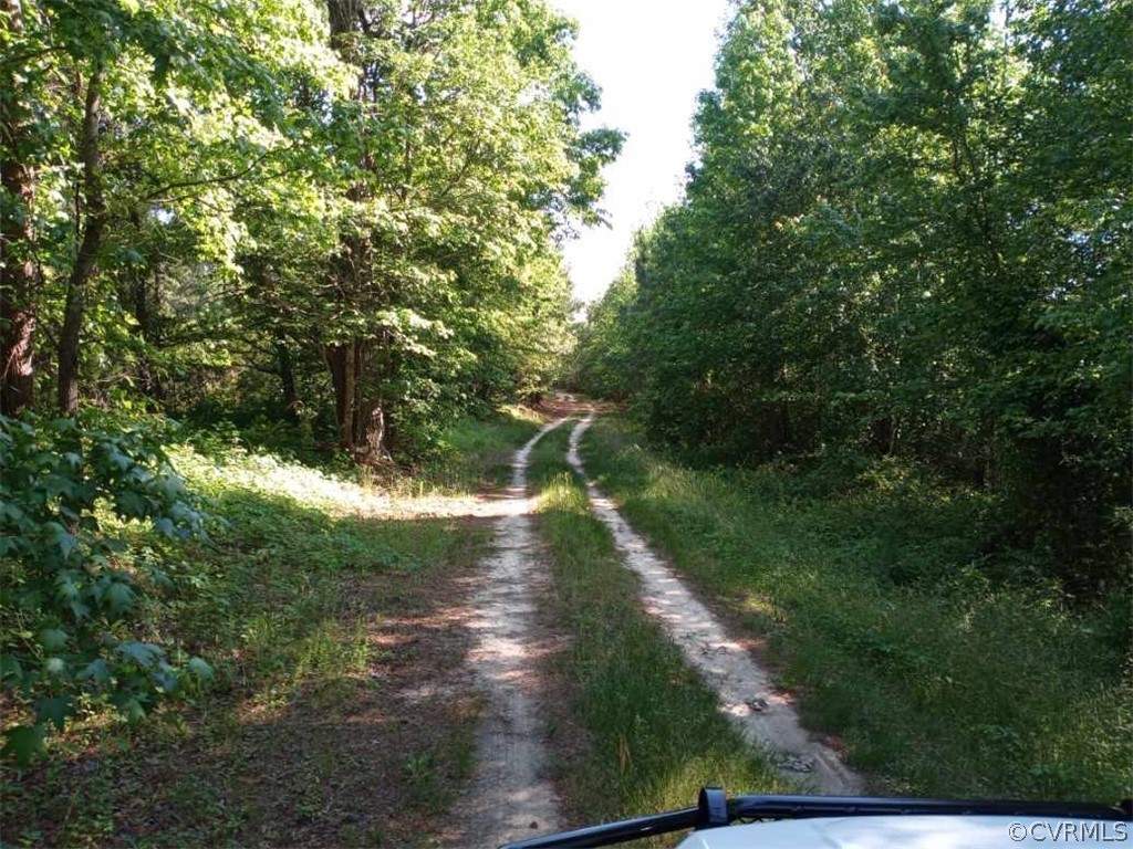0 County Line Road Disputanta, VA 23842 - Photo 2 of 10 Gallery Image 2