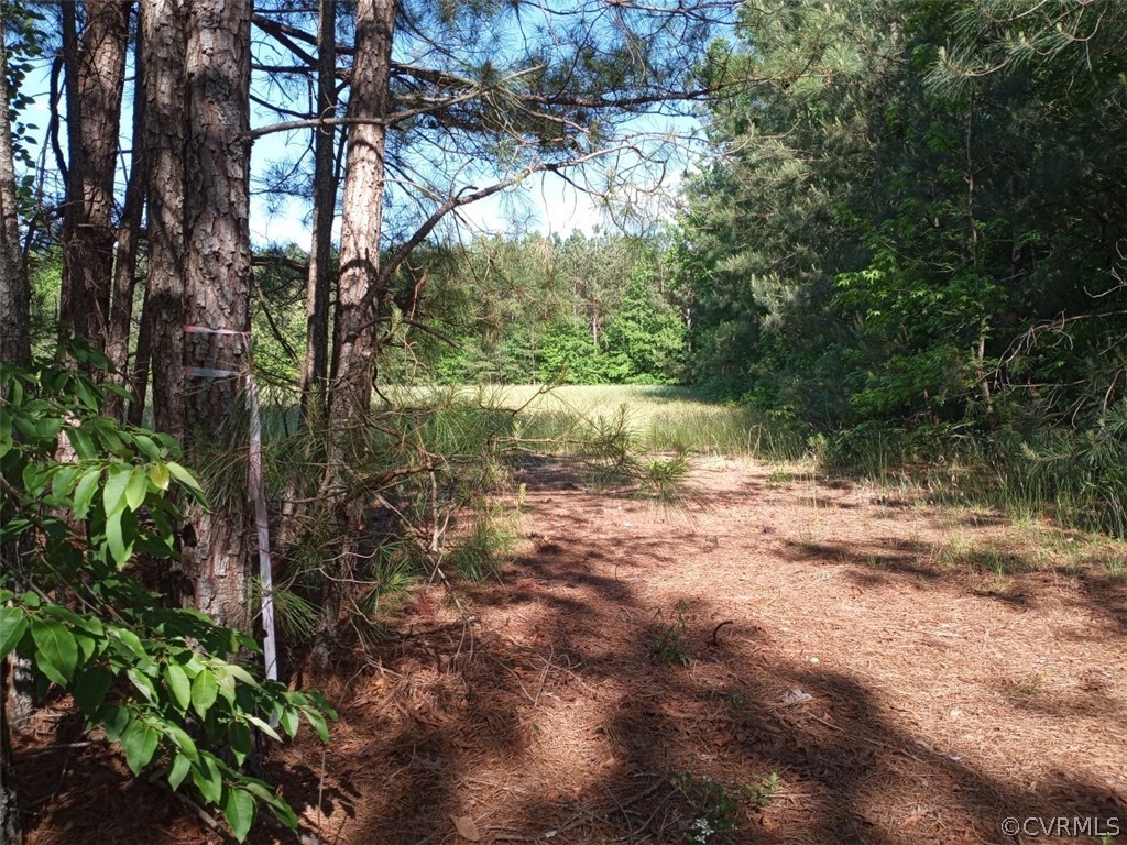 0 County Line Road Disputanta, VA 23842 - Photo 3 of 10 Gallery Image 3