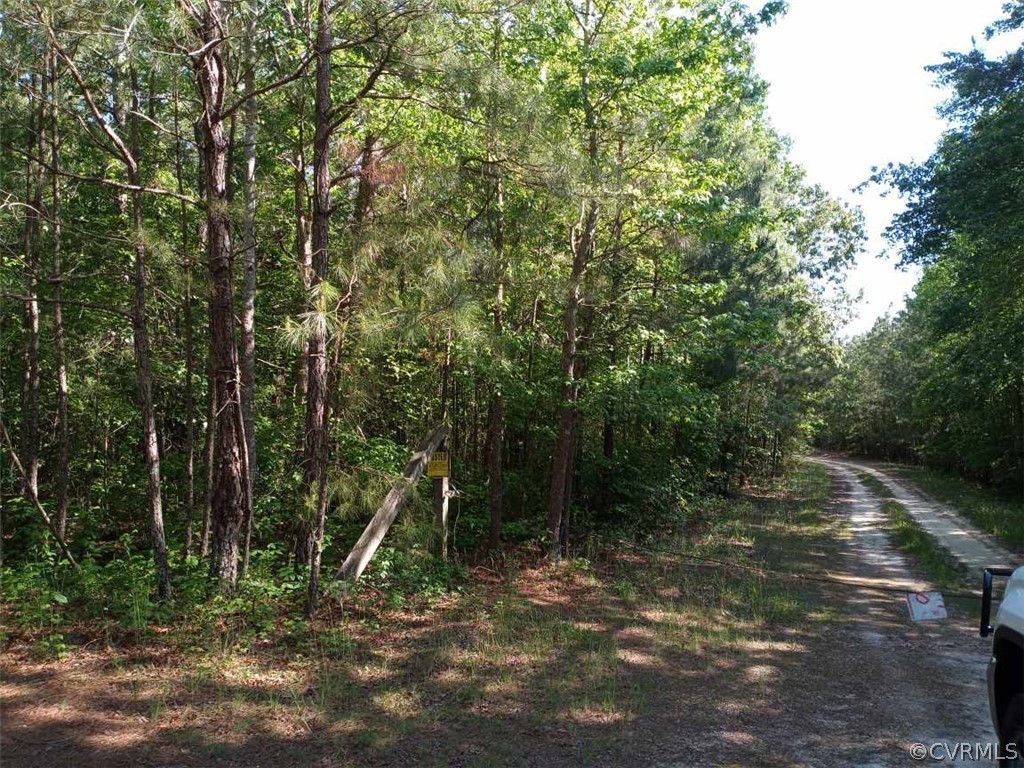 0 County Line Road Disputanta, VA 23842 - Photo 4 of 10 Gallery Image 4