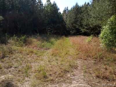 0 County Line Road Disputanta, VA 23842 - Photo 5 of 10 Gallery Image 5