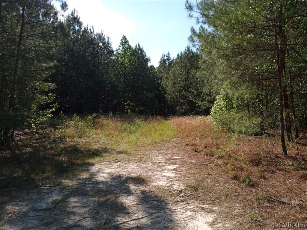 0 County Line Road Disputanta, VA 23842 - Photo 6 of 10 Gallery Image 6