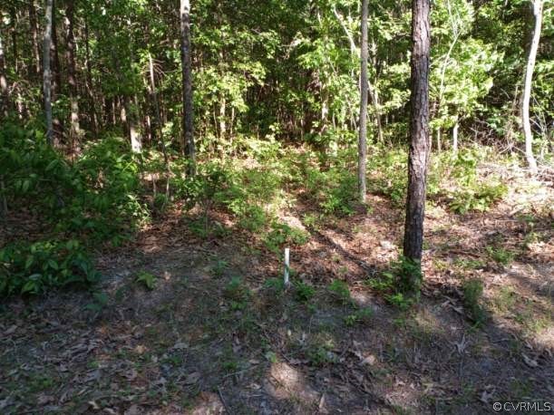 0 County Line Road Disputanta, VA 23842 - Photo 7 of 10 Gallery Image 7