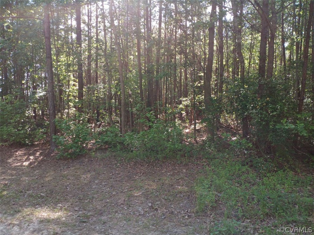 0 County Line Road Disputanta, VA 23842 - Photo 8 of 10 Gallery Image 8