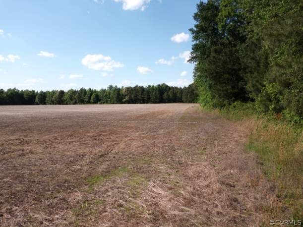 0 County Line Road Disputanta, VA 23842 - Photo 9 of 10 Gallery Image 9