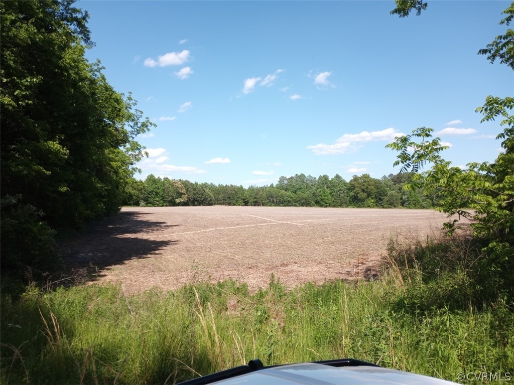 0 County Line Road Disputanta, VA 23842 - Photo 10 of 10 Gallery Image 10