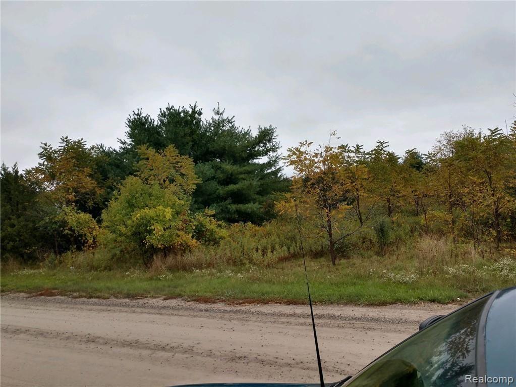 A Warner Road Howell, MI 48843 - Photo 1 of 4