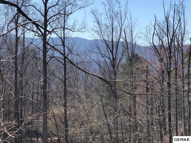 627 Timber Ridge Road Gatlinburg, TN 37738 - Photo 2 of 27 Gallery Image 2