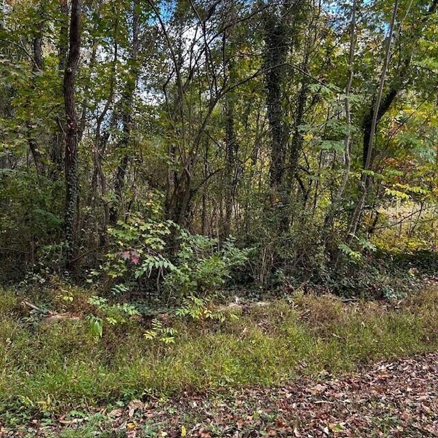 288 Logtown Road Dayton, TN 37321 - Photo 13 of 17 Gallery Image 13