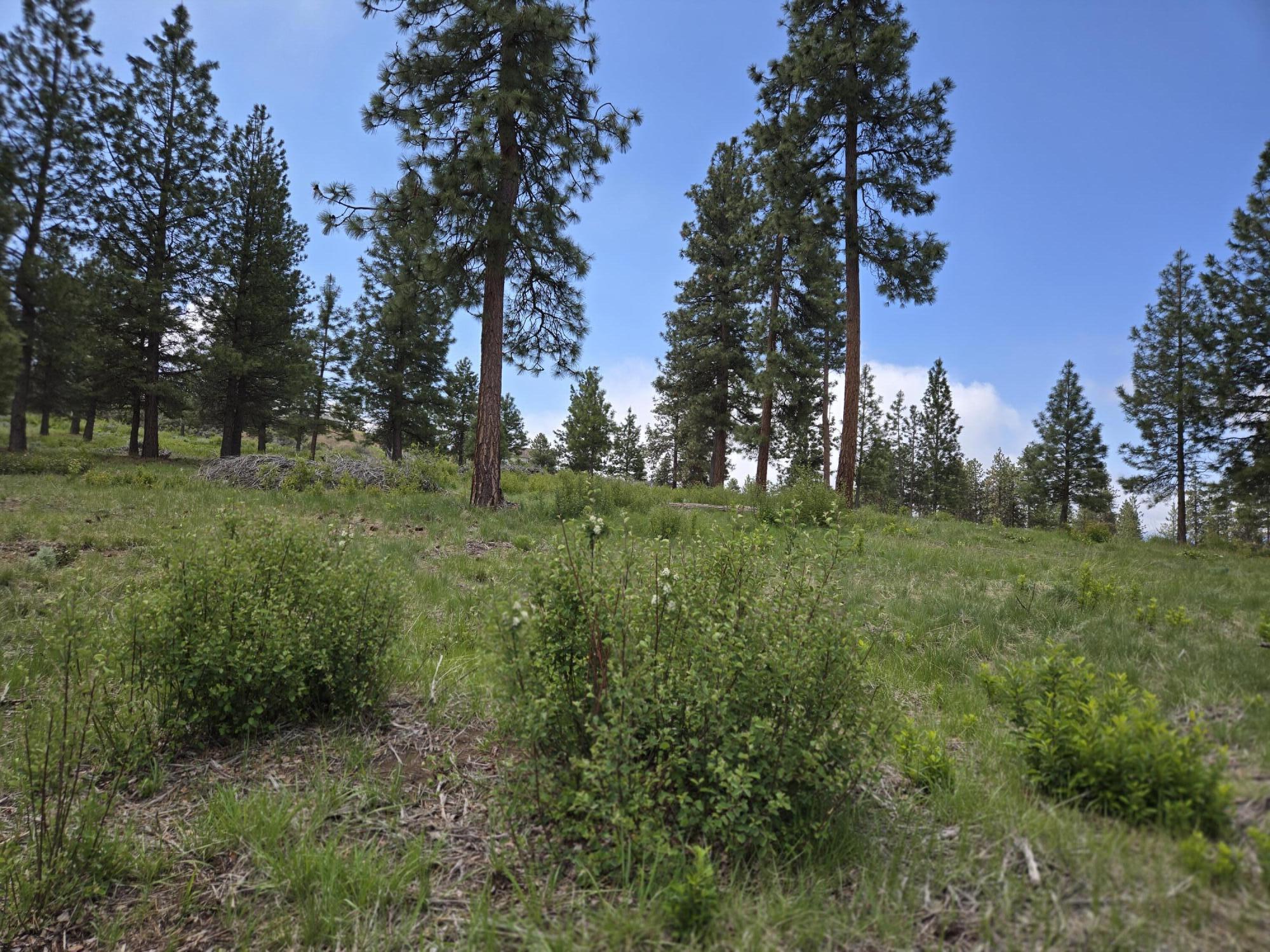 Ranch Road Chiloquin, OR 97624 - Photo 11 of 13 Lot