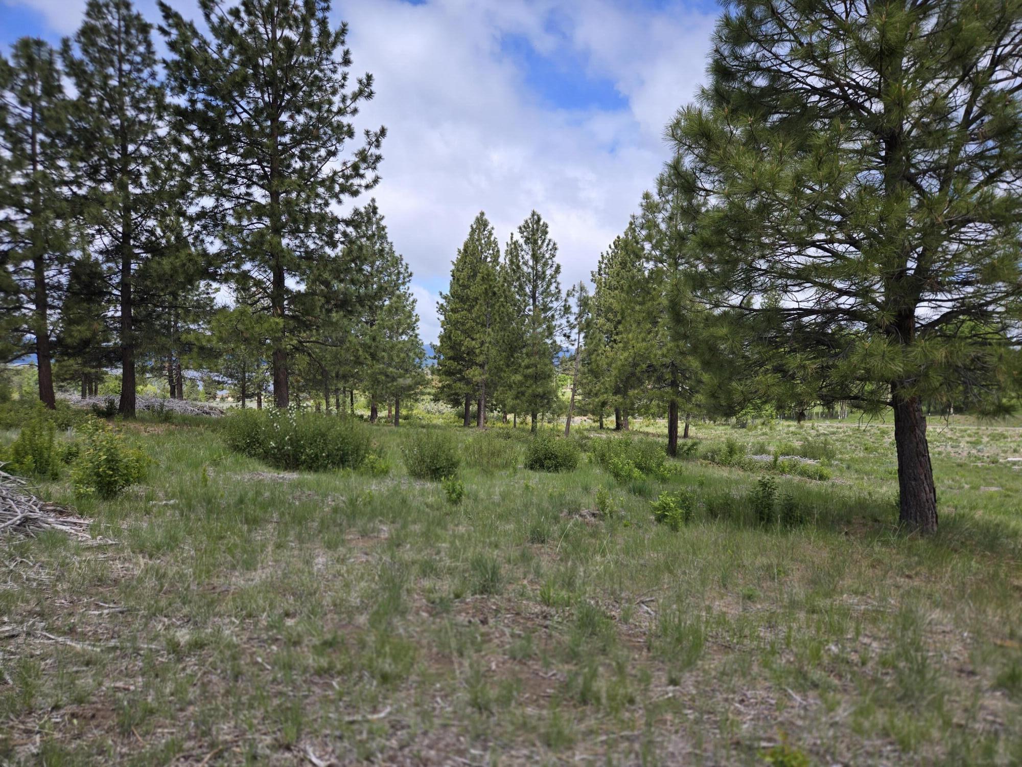 Ranch Road Chiloquin, OR 97624 - Photo 12 of 13 Lot