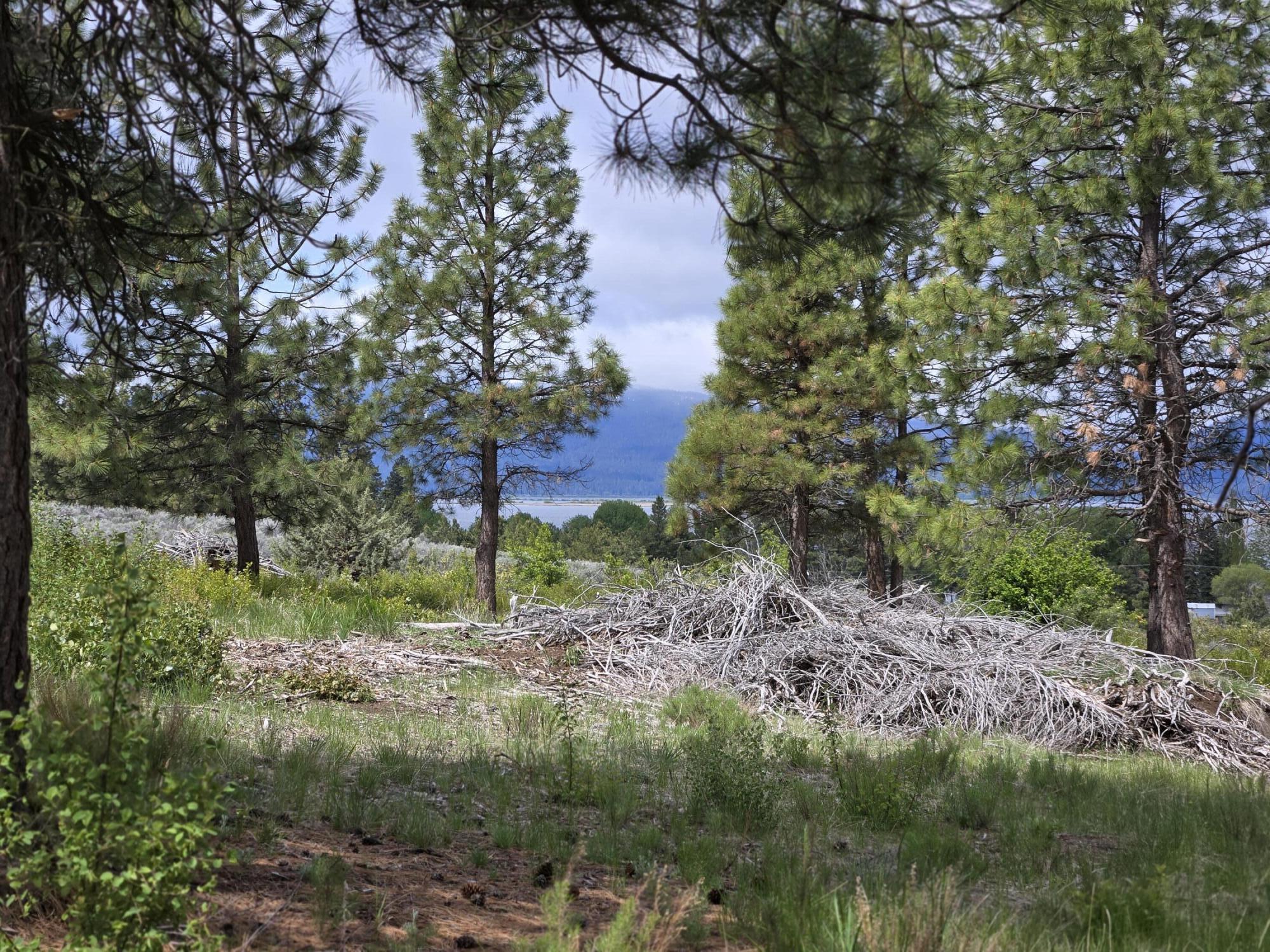 Ranch Road Chiloquin, OR 97624 - Photo 13 of 13 Lot