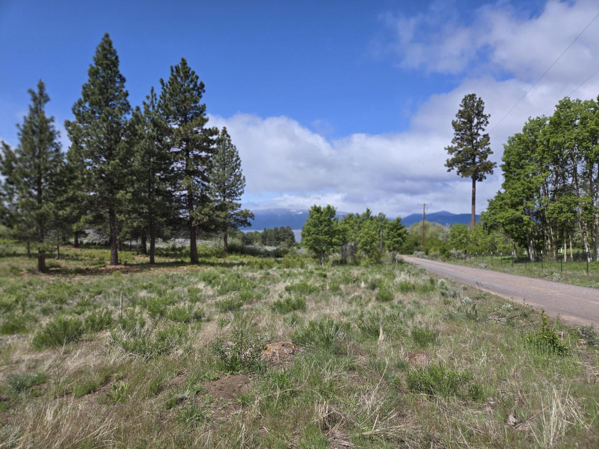 Ranch Road Chiloquin, OR 97624 - Photo 4 of 13 Lot