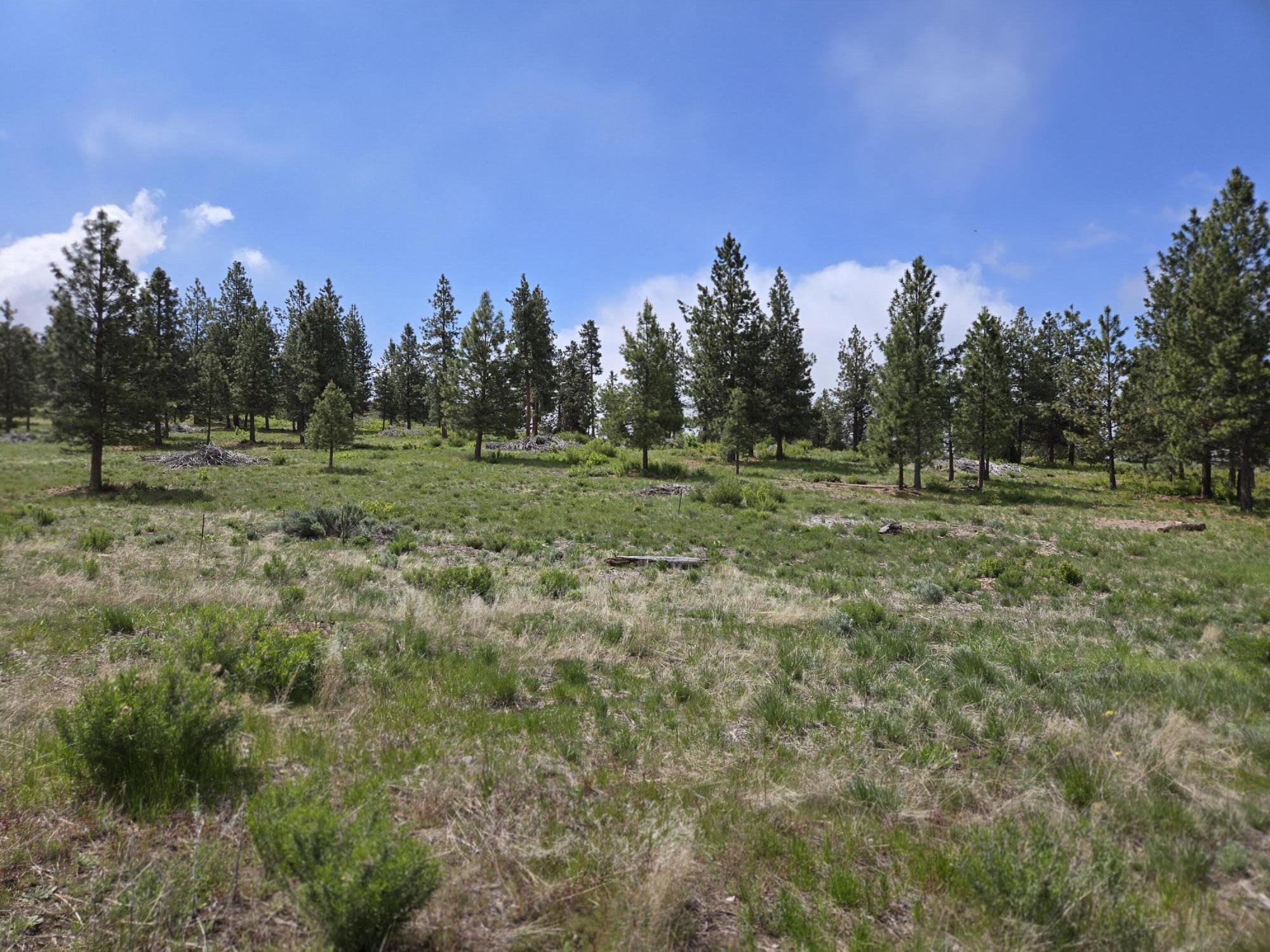 Ranch Road Chiloquin, OR 97624 - Photo 5 of 13 Lot
