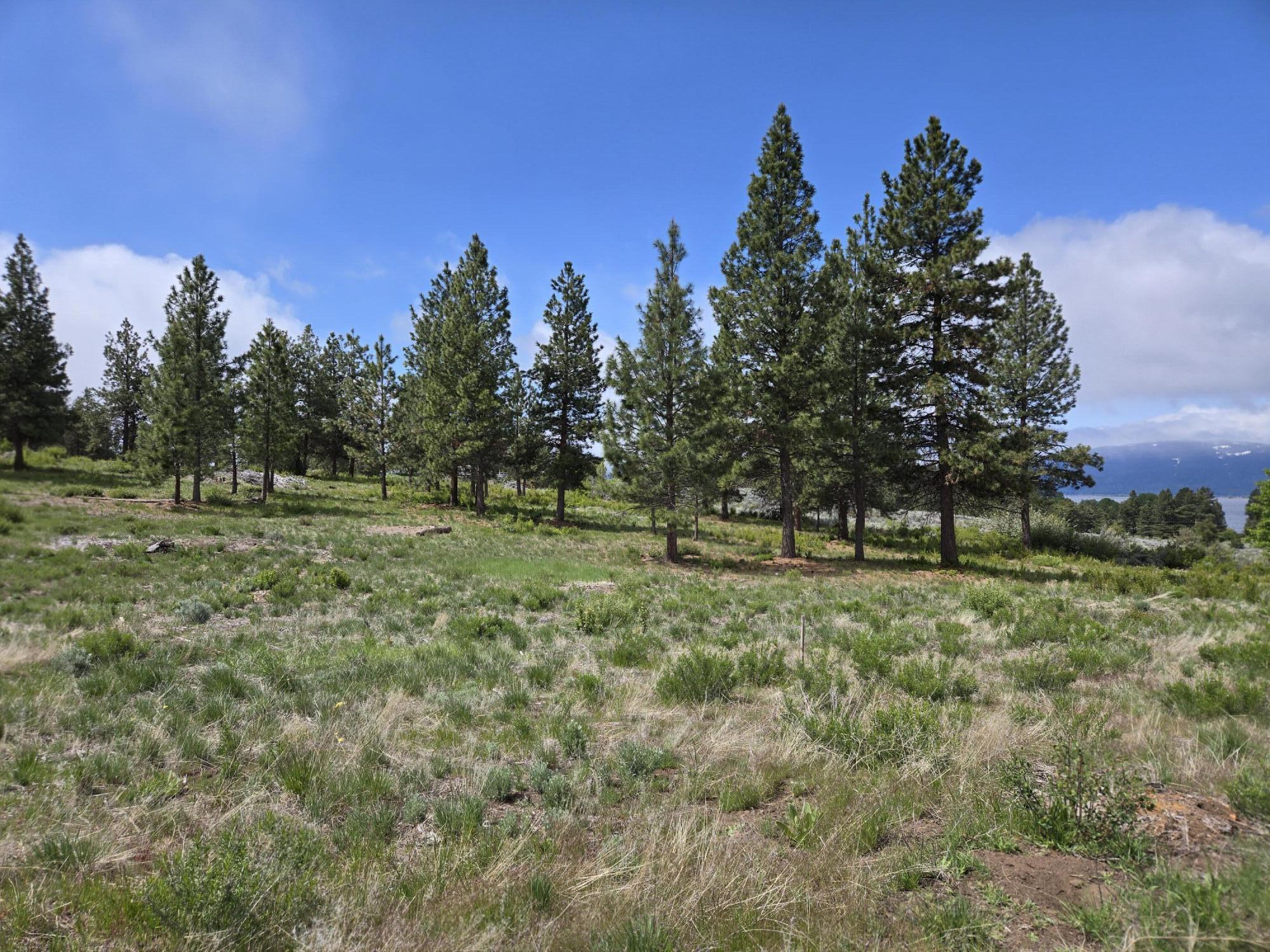 Ranch Road Chiloquin, OR 97624 - Photo 6 of 13 Lot
